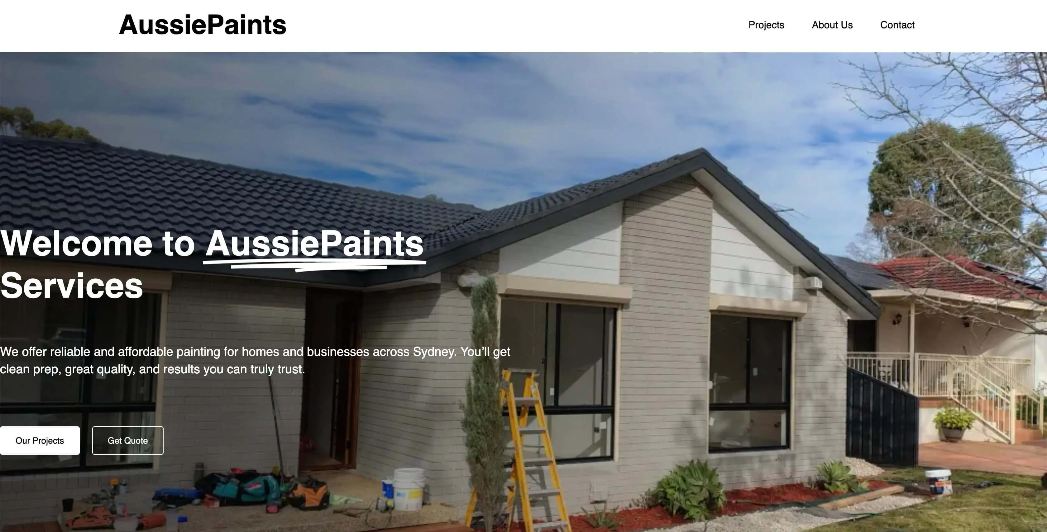 Painter, Sydney before website redesign